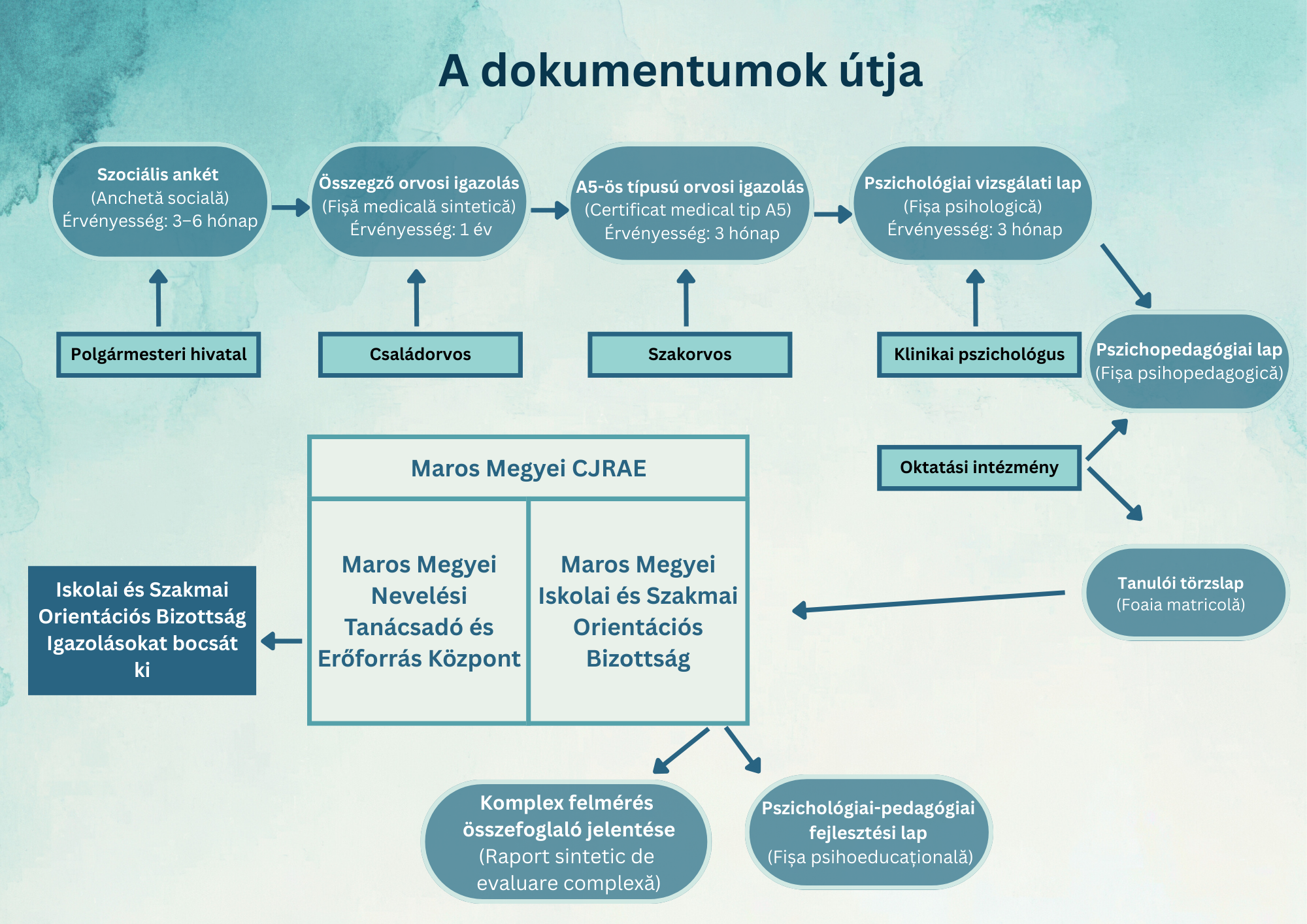 CES dosar 1